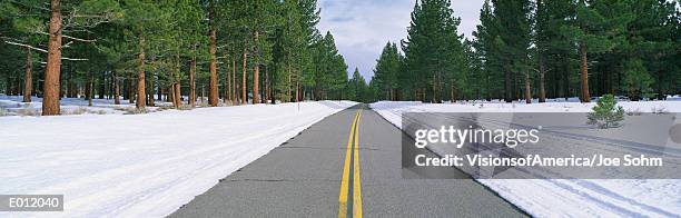 two lane road in snow with evergreen trees - verwaltungsbezirk mono county stock-fotos und bilder