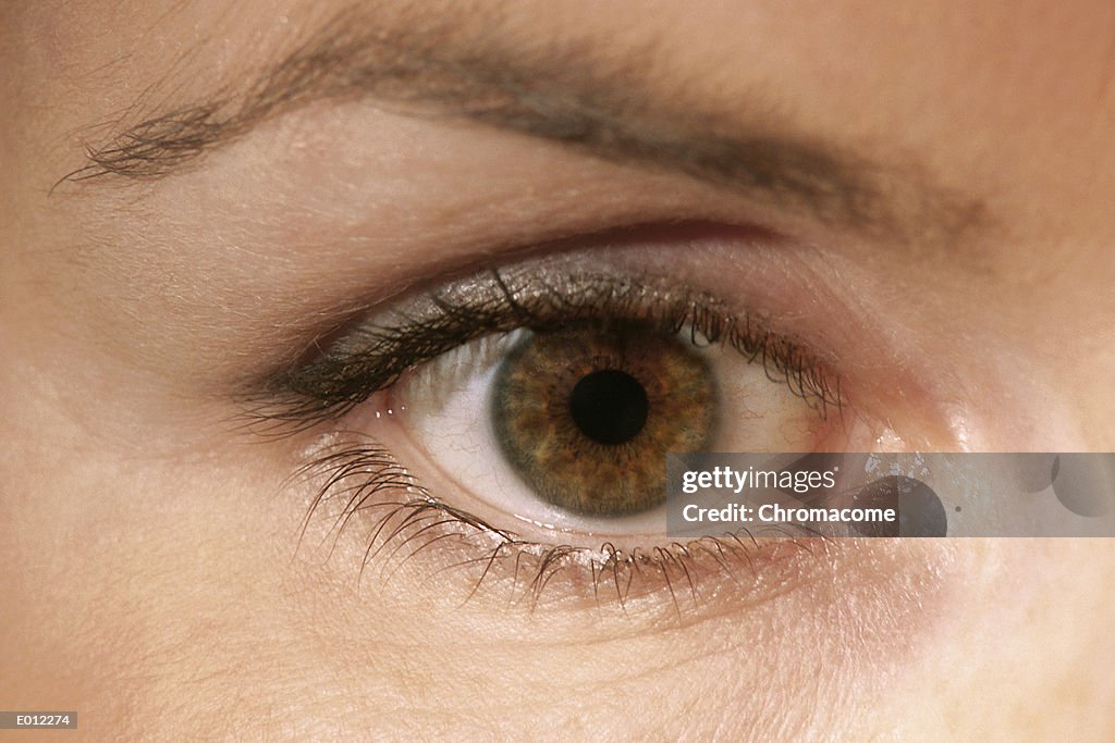 Woman's eye with makeup