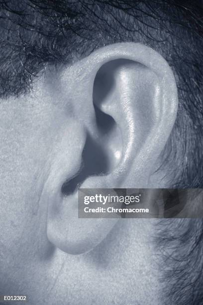 closeup of man's ear - earlobe stockfoto's en -beelden