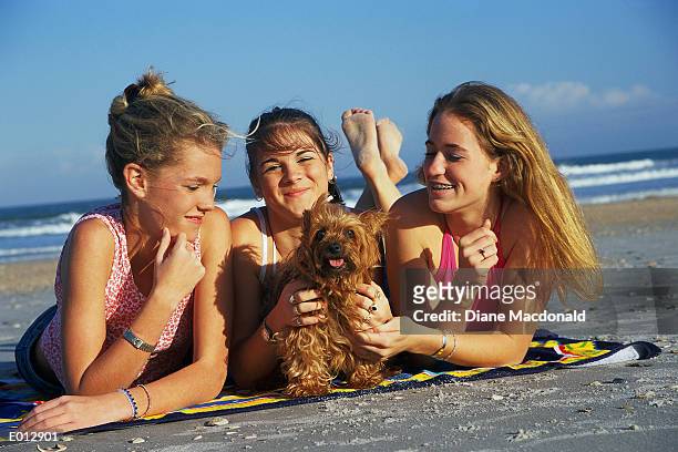 three teen girls at beach with dog - sandy macdonald stock pictures, royalty-free photos & images