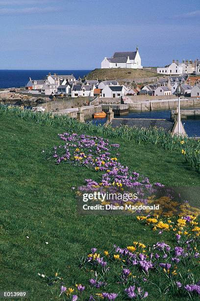 fishing village - iris family stock pictures, royalty-free photos & images