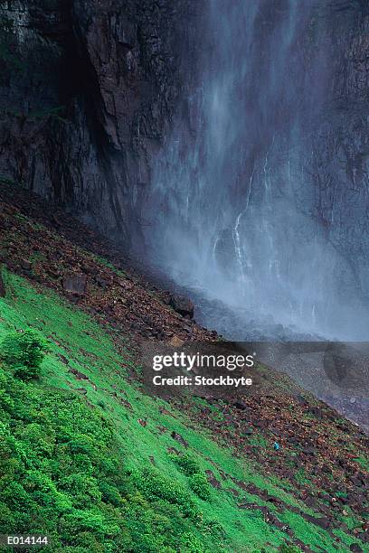 base of angel falls, venezuela - angel falls stock pictures, royalty-free photos & images