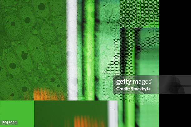 317 Skin Cells Abstract Stock Photos, High-Res Pictures, and Images ...