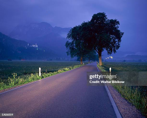 germany, bavaria, newschwanstein and hohenschwangau castles, dusk - walter bibikow stock pictures, royalty-free photos & images