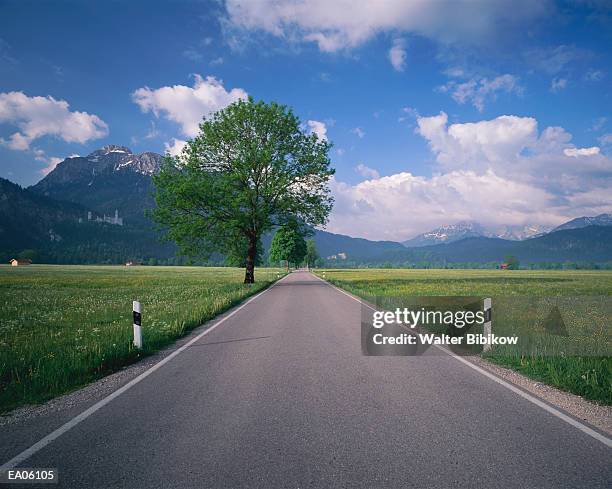 germany, allgau, schwangau, road through countryside - walter bibikow stock-fotos und bilder