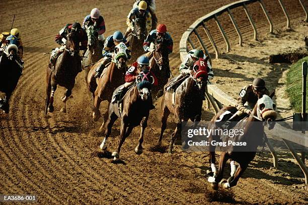 jockeys competing in flat race, maryland, usa - horse racing track stock pictures, royalty-free photos & images