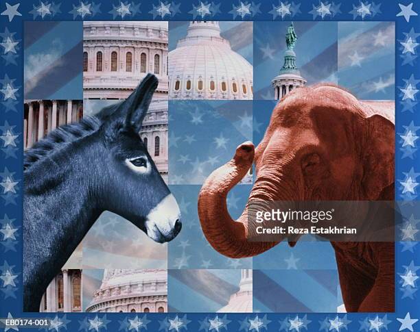 us political parties represented by donkey and elephant (composite) - politische partei stock-fotos und bilder