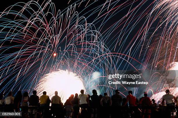 firework display and spectators - happy independence day stock pictures, royalty-free photos & images