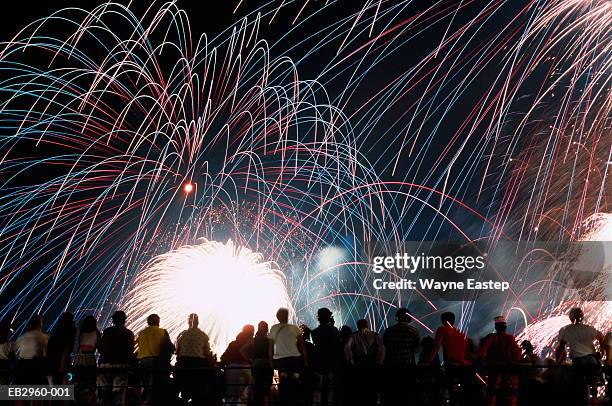 firework display and spectators - happy independence day 個照片及圖片檔
