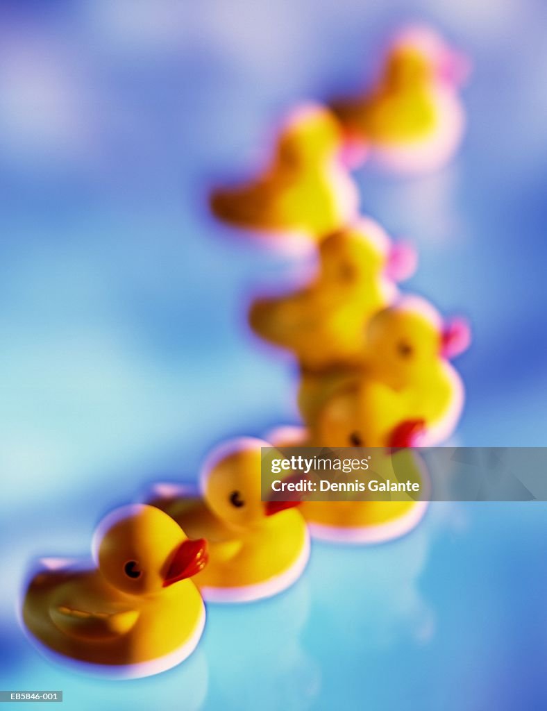 Row of rubber ducks (Digital Composite)