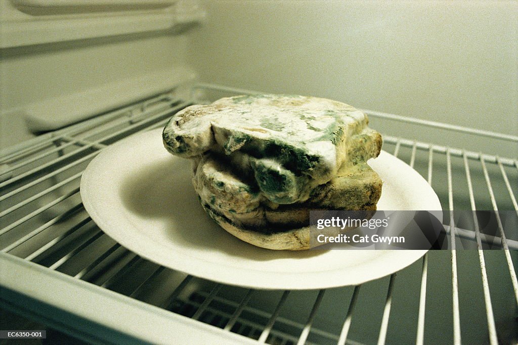 Slices of bread with mould in refrigerator