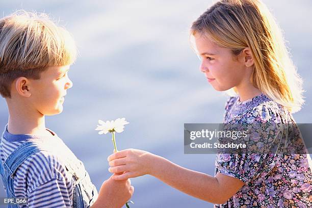 boy and girl exchanging flower - man giving flowers stock-fotos und bilder