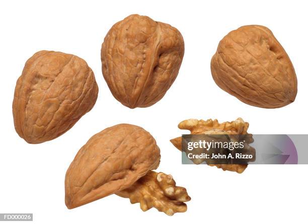walnuts - nutshell stock pictures, royalty-free photos & images