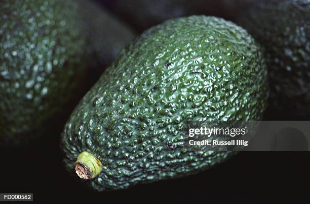 609 Bumpy Vegetable Stock Photos, High-Res Pictures, and Images - Getty ...