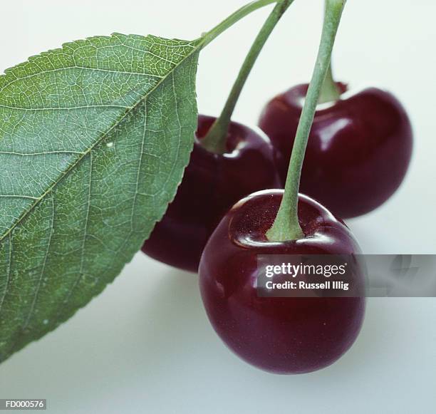 bing cherries - bing cherry stock pictures, royalty-free photos & images