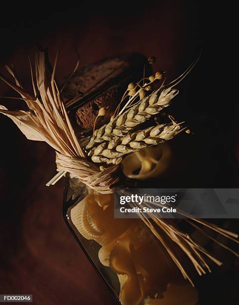 pasta shell in jar with barley decoration - hordeum stock pictures, royalty-free photos & images