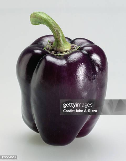 purple bell pepper - violetta bell foto e immagini stock