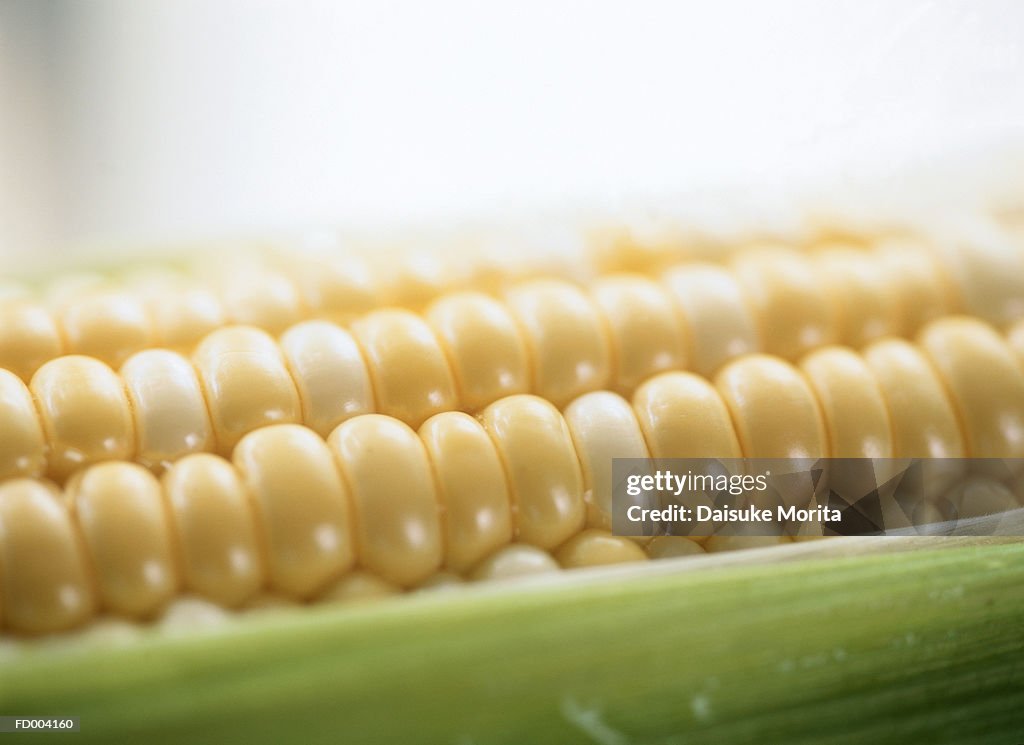 Detail of Corn on the Cob