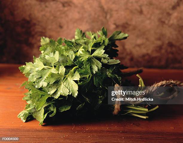 flat leaf parsley - slätpersilja bildbanksfoton och bilder