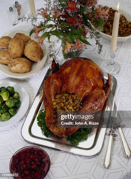 holiday turkey - stuffed turkey stock pictures, royalty-free photos & images