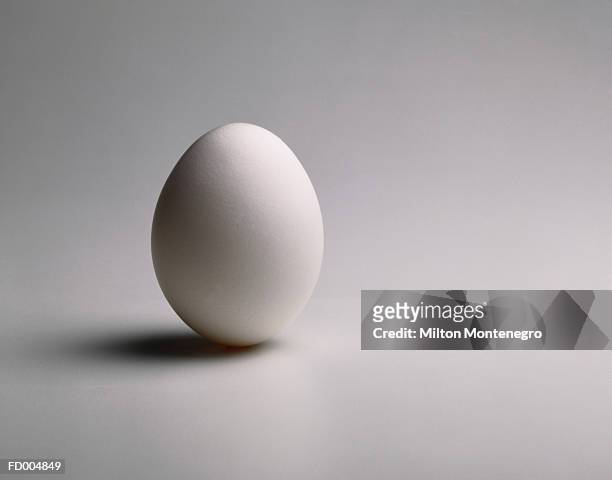 egg - ancine stockfoto's en -beelden