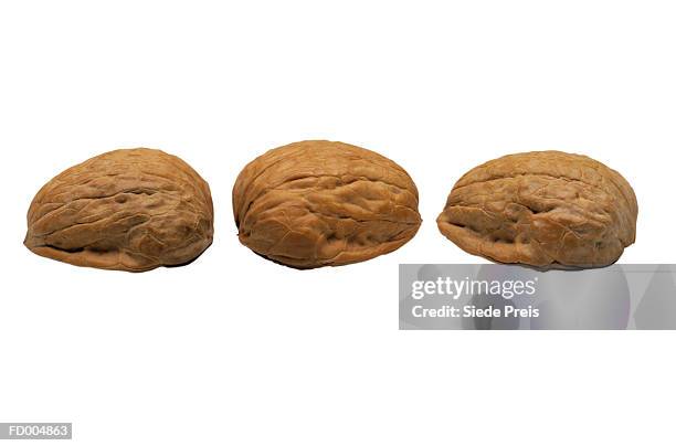 walnut shells - nutshell stock pictures, royalty-free photos & images