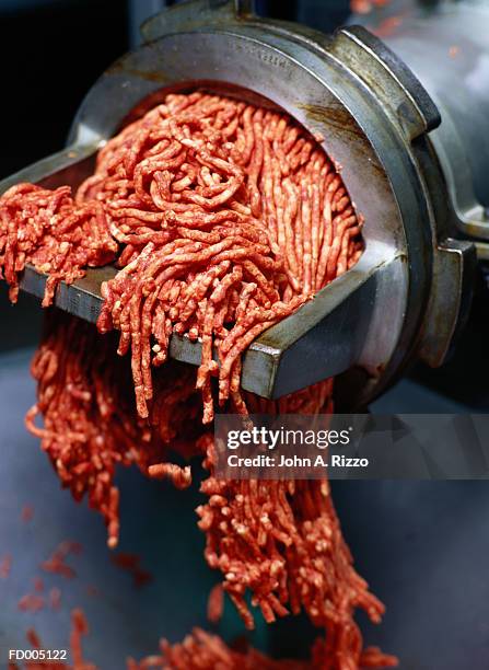 meat grinder - vleesmolen stockfoto's en -beelden