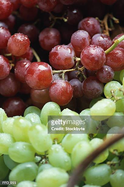 variety of grapes - variety foto e immagini stock