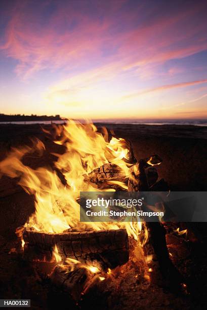 beach fire, sunset - stehen stock pictures, royalty-free photos & images