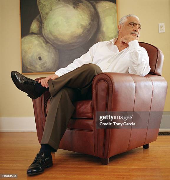 mature man sitting in leather chair, painting in background - garcia stockfoto's en -beelden