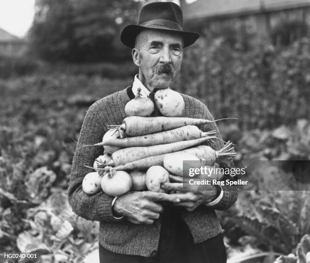 prize vegetables - 1942 stock pictures, royalty-free photos & images