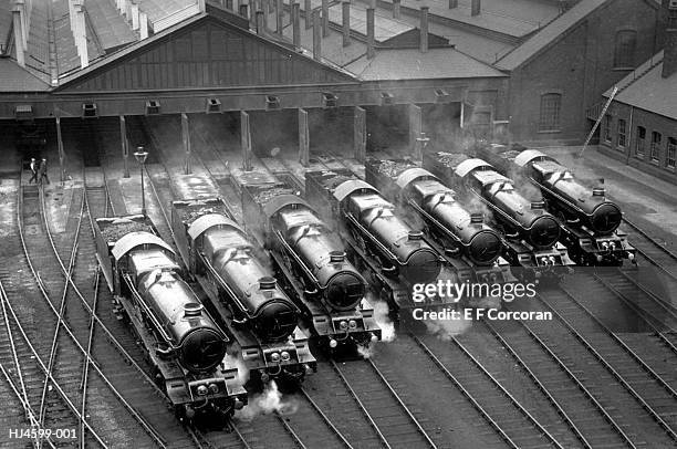 train sheds - 1930 stock pictures, royalty-free photos & images