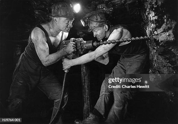 coal miners - miner stock pictures, royalty-free photos & images