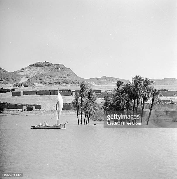 high water on nile - nile river ストックフォトと画像