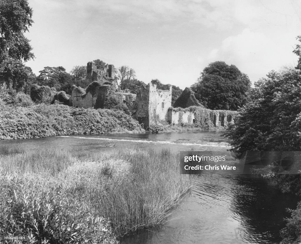 Desmond Castle