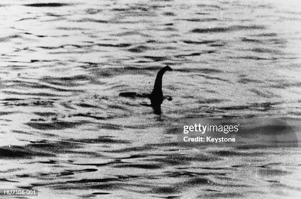 loch ness monster - monstre photos et images de collection
