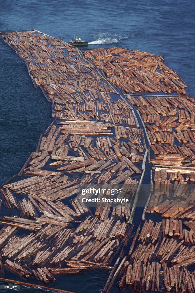 Logs In Water High-Res Stock Photo - Getty Images