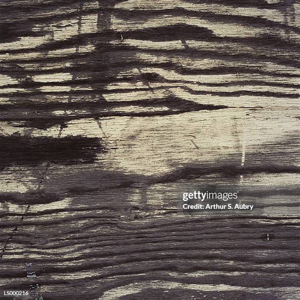 gray and black and white wood grain - wood grain 個照片及圖片檔