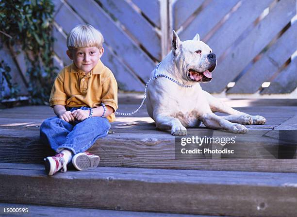 boy with dog - langue-des-animaux photos et images de collection