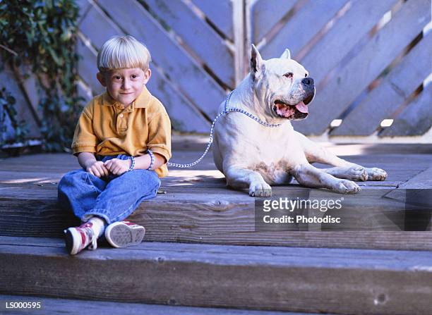 boy with dog - djurtunga bildbanksfoton och bilder
