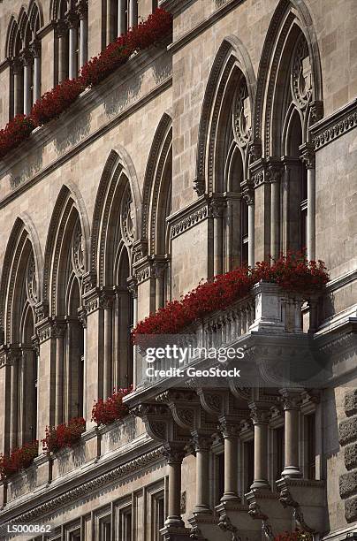 european arches - tracery stockfoto's en -beelden