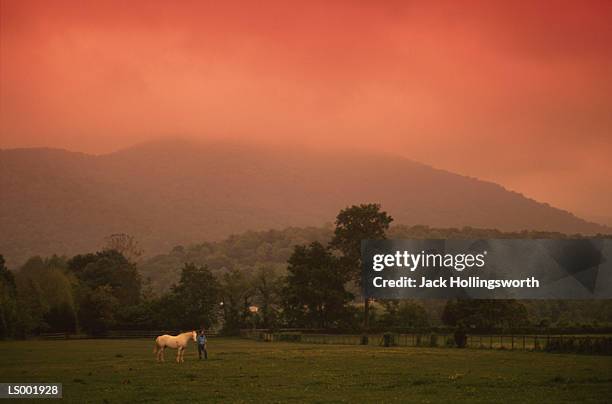 Sunset Mist High-Res Stock Photo