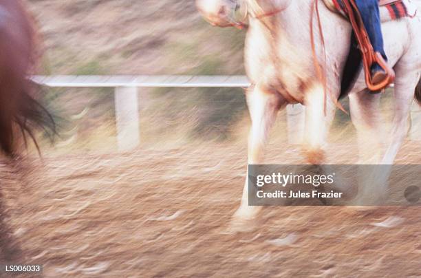 trotting horse - trotto-andatura-animale foto e immagini stock