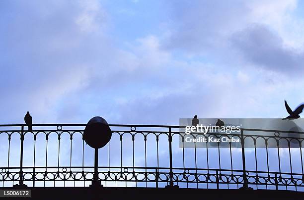 Paris Railing 48,297 Paris France Stock Photos, High-Res Pictures, and Images - Getty ...