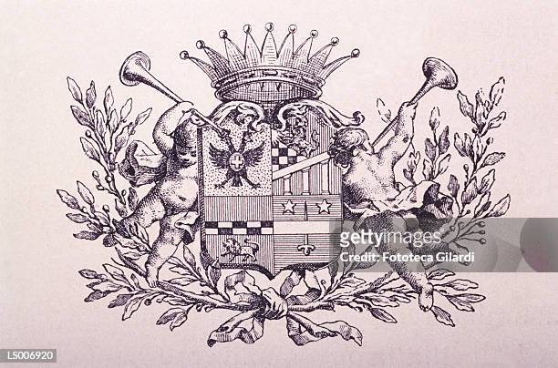 coat of arms of the diana - angels crest stock illustrations