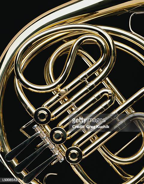 french horn - greg stock pictures, royalty-free photos & images