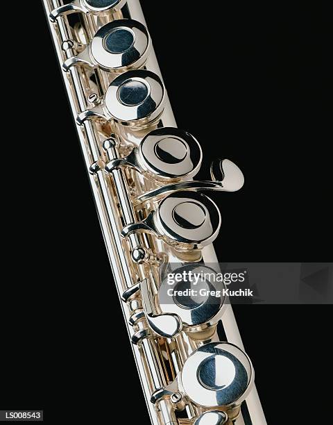 flute - greg stock pictures, royalty-free photos & images