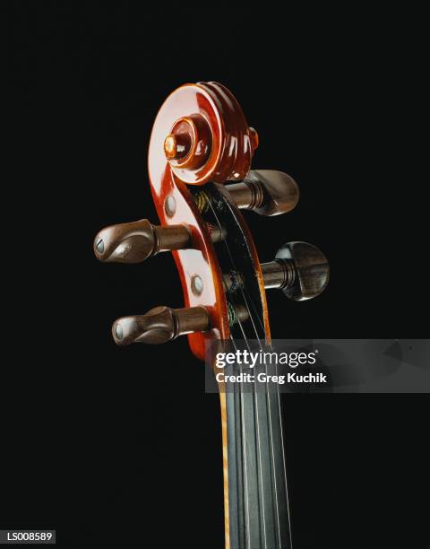 violin handle - violin scroll stock pictures, royalty-free photos & images