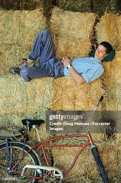 man sleeping on a bale of hay - hay fotografías e imágenes de stock