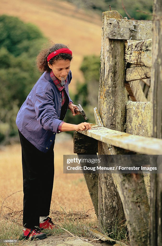Woman Repairing Gate and Fence